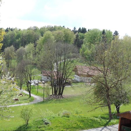 Ferienwohnung Waldoase Am Fuchsenstein 슈피겔라우 객실 사진