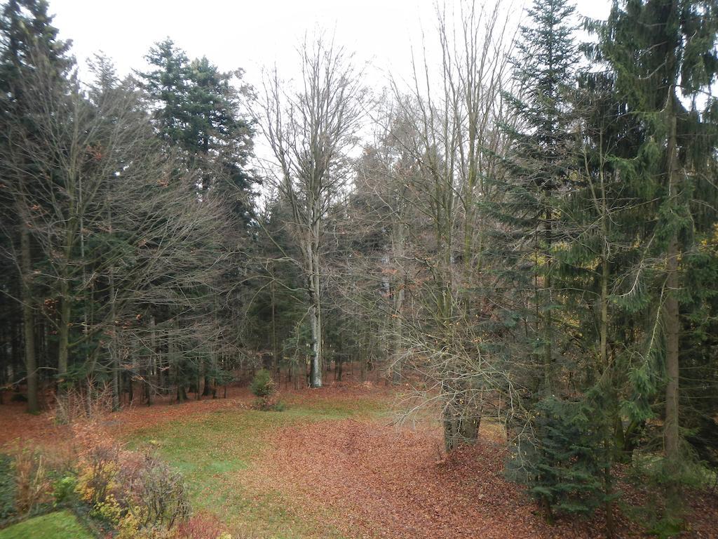 Ferienwohnung Waldoase Am Fuchsenstein 슈피겔라우 외부 사진