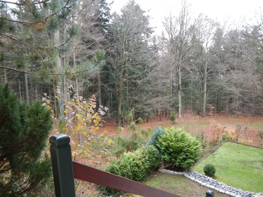 Ferienwohnung Waldoase Am Fuchsenstein 슈피겔라우 외부 사진