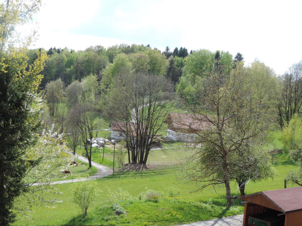 Ferienwohnung Waldoase Am Fuchsenstein 슈피겔라우 객실 사진